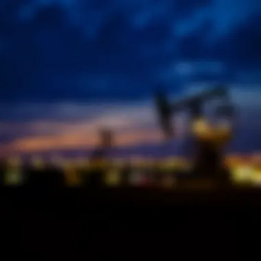 Comprehensive Overview of Oil and Gas Company Profiles Summary Comprehensive Overview of Oil and Gas Company Profiles Summary