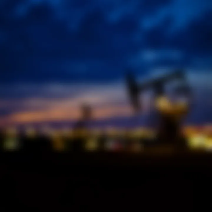 Comprehensive Overview of Oil and Gas Company Profiles Summary Comprehensive Overview of Oil and Gas Company Profiles Summary