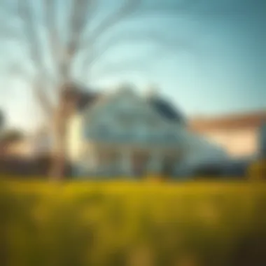 Understanding the Financial Aspects of Lease-to-Own Homes Financial analysis for lease-to-own