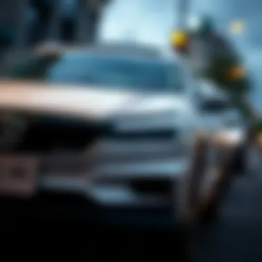 Exploring Mutual Funds in the Electric Vehicle Sector Summary