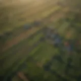 Aerial view of diverse farmland showcasing various crops