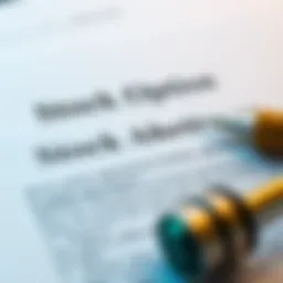 Detailed view of stock option agreements